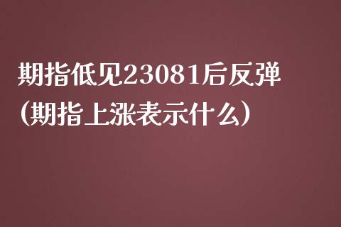 期指低见23081后反弹(期指上涨表示什么)_https://hz1.wpmee.com_德指直播室_第1张