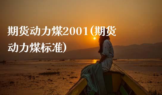 期货动力煤2001(期货动力煤标准)_https://gn1.wpmee.com_期货知识_第1张