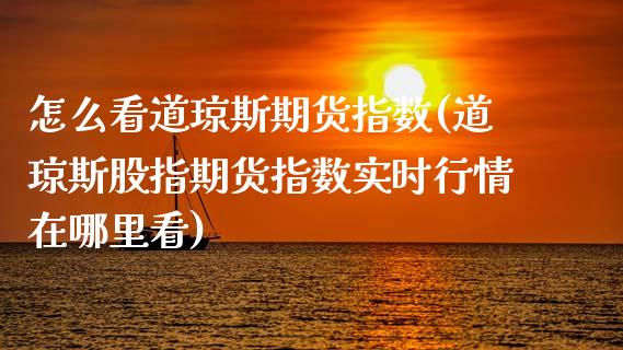 怎么看道琼斯期货指数(道琼斯股指期货指数实时行情在哪里看)_https://gn1.wpmee.com_期货品种_第1张